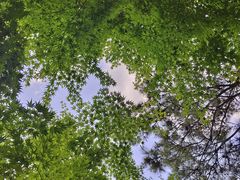 -崂山九水游览区