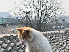 -前叁門
