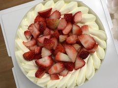 -维尔纳斯·生日蛋糕·动物奶油冰淇淋蛋糕(六里桥店)