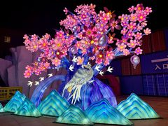 -海合安武汉极地海洋公园