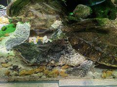 -海合安天津极地海洋公园