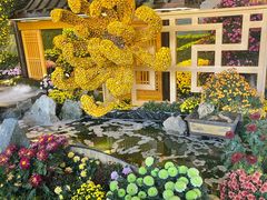 -杭州植物园