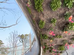 -上海植物园-4号门售票处