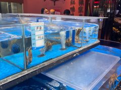 -张家卫·阳江菜·小海鲜(肥婆湾桥店)