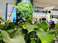 -Peet's Coffee皮爷咖啡(德基店)