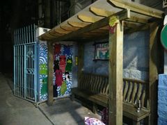 -猫咪博物馆(顶澳仔猫街店)