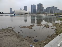 -金沙湖公园