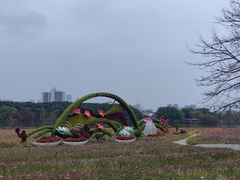 -海珠湖公园