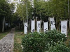 -大唐贡茶院