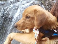 -藏龙百瀑风景区