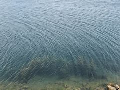 -抚仙湖禄充风景区
