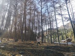 -硗碛藏寨·神木垒景区