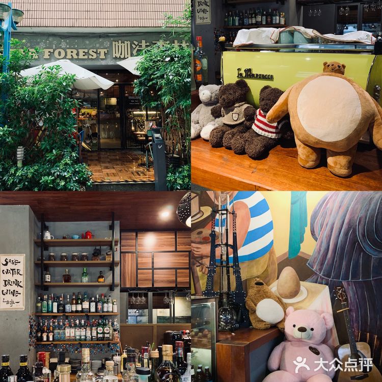 广州被绿植包围的咖啡厅🍃超多猫🐈