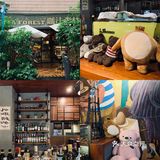 广州被绿植包围的咖啡厅🍃超多猫🐈