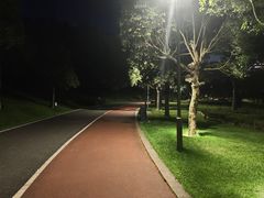 -牛岗山公园