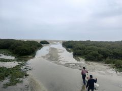 -北海金海湾红树林生态旅游区