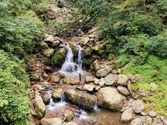 -龙道沟景区