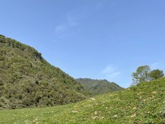 -狮子沟牧场