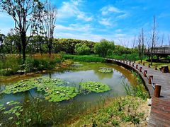 -同里国家湿地公园
