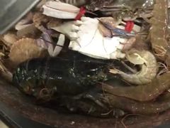 -阔澜蒸汽海鲜自助