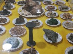 -游龙石文化科普馆