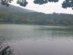 景点-紫霞湖公园