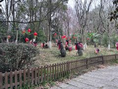 -天目湖山水园