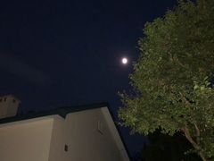 -上海市保健医疗中心(华东疗养院)