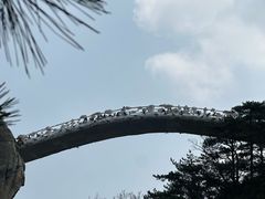 -罗田天堂寨风景区