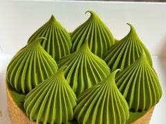 抹茶挞-猫里有甜