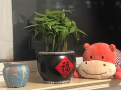 -双季花艺园艺市场(浦东店)