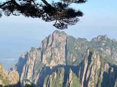 -缙云山景区