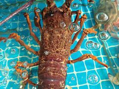 -百富源·海鲜辽菜(张士店)