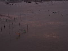 -北岐滩涂