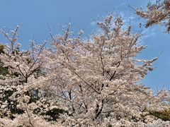 -杭州少年儿童公园