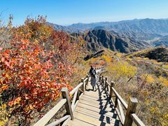 -大岭沟猕猴桃谷风景区