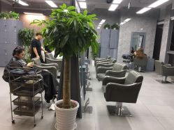 -INS羽毛接发·巴黎画染