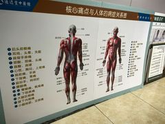 -通透堂中医·精准推拿(旗舰店)