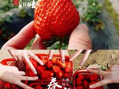-麓舍全景太湖温泉别墅团建拓展会议亲子