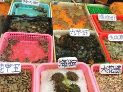 -十四涌水产中心