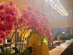 -上海佘山世茂艾美酒店