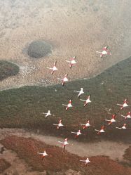 -北京米扬丽格医疗美容·联合丽格鼻整形中心