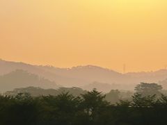 -美的鹭湖森林度假区