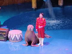 -烟台海昌鲸鲨海洋公园