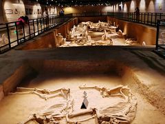 -洛阳周王城天子驾六博物馆