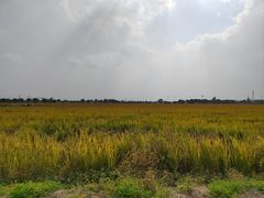 -嘉北郊野公园