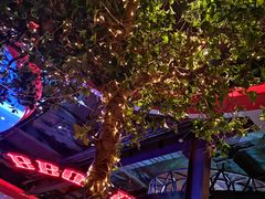 -肉串汪(望京店)