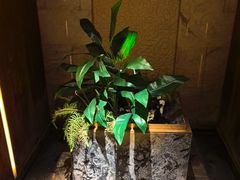 -浅深(北京北四环精品店)