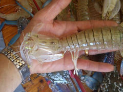 android_upload_pic-沙扒湾