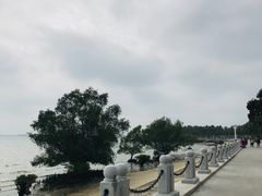 -霞山观海长廊